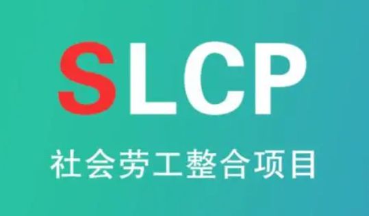 SLCP融合评估框架(CAF)