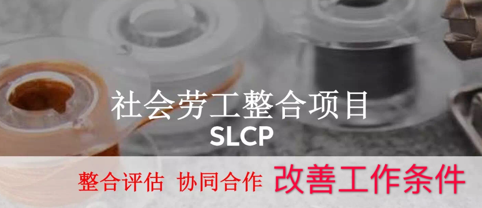 SLCP验厂审核清单
